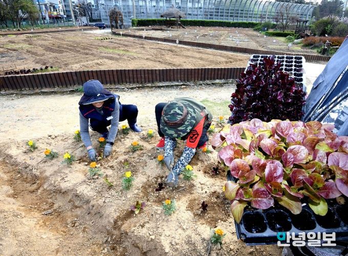 싱그러운 모종에 품은 도시농부의 희망