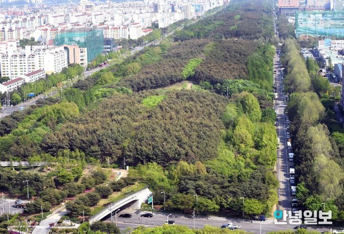 위에서 본 곰솔누리숲. 양쪽으로 주거단지와 산업단지가 위치해 있다.