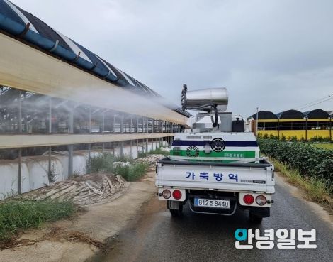 경기도, 아프리카돼지열병·럼피스킨 발생에 차단방역 총력