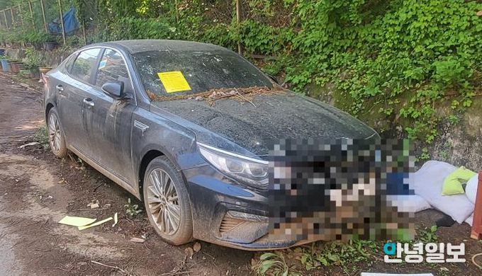 안산시 단원구, 상반기 무단 방치 자동차 일제 정리 나서