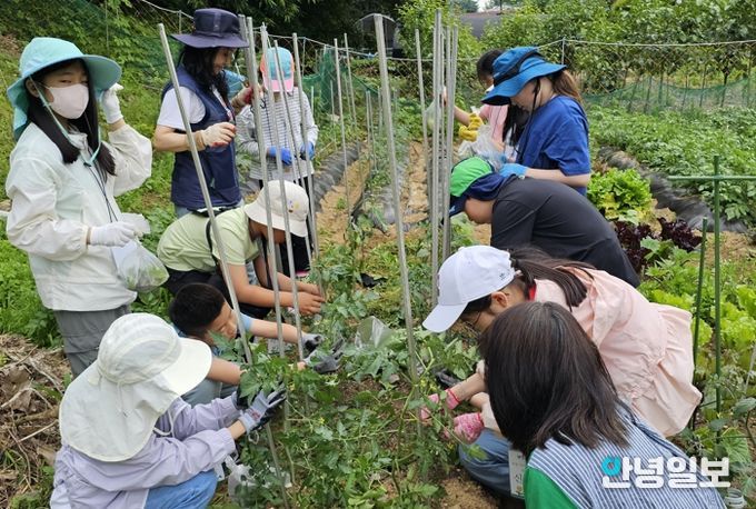 경기공유학교 환경 생태 프로그램 운영