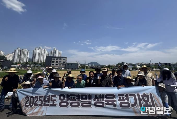 농업기술센터와 농업인이 관내 밀 재배 포장에서 밀 생육 평가회 진행