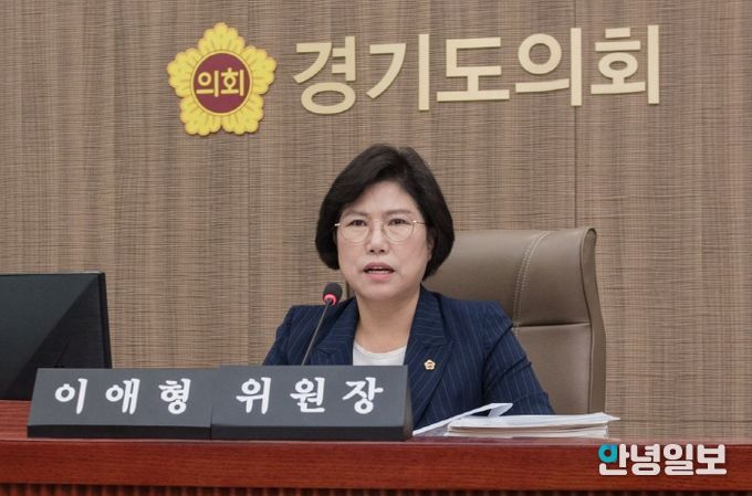 이애형 의원, 추경 불용 및 예비비 이월 문제 지적...계획성 없는 예산편성 반성해야
