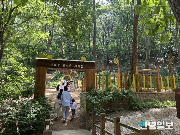 용인특례시가 '보라유아숲'과 '소실봉유아숲' 시설정비를 마무리했다.
