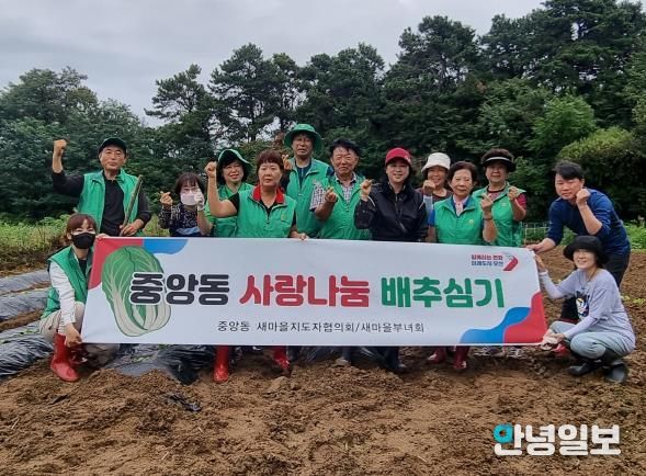 오산시 중앙동, 사랑의 배추심기 행사 개최