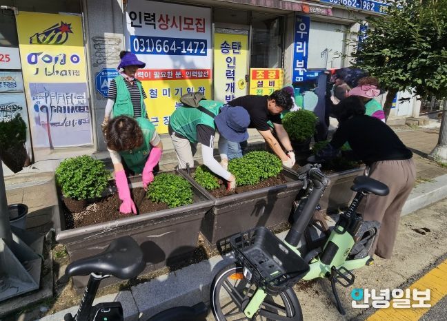 신장2동 새마을부녀회, 가을꽃으로 산뜻한 마을 조성