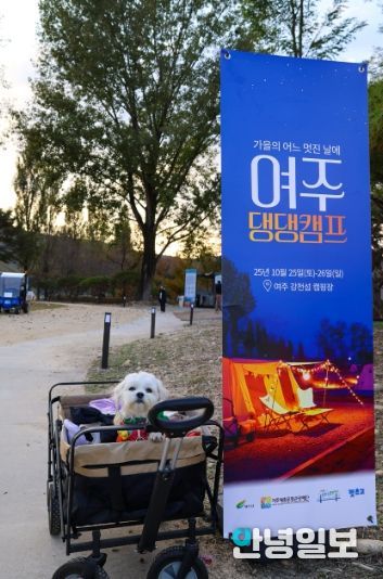 여주세종문화관광재단, 반려동물과 함께하는 1박 2일 ‘댕댕캠프’ 운영