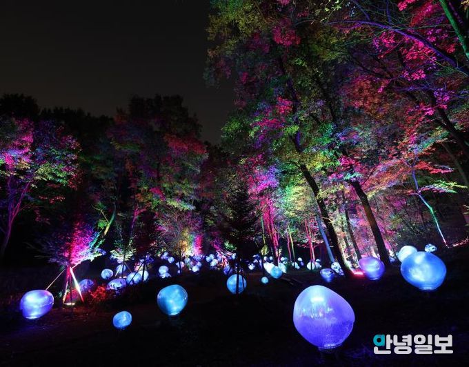 형형색색의 복사꽃 씨앗이 빛나는 도화씨 구간 전경