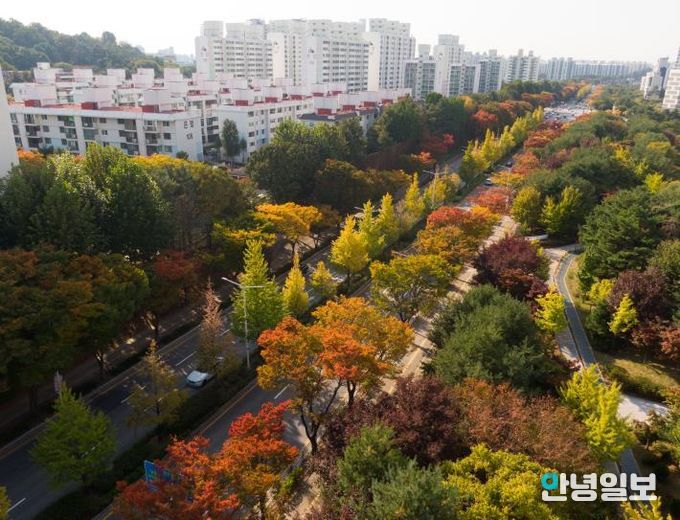 '평택시 국도1호선 가로숲길' 녹색도시 우수사례 '우수상' 수상