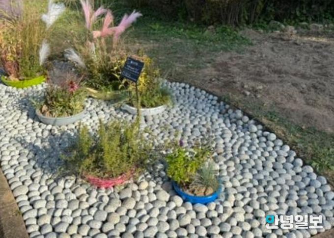 ‘완뚝원정대’의 ‘리플(ripple) 가든’