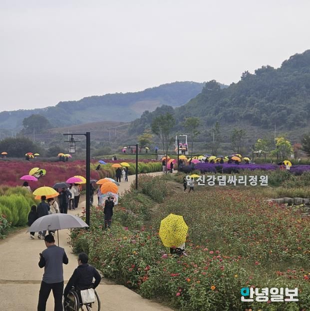 연천군 중면 임진강 댑싸리정원 지역 관광명소로 우뚝!