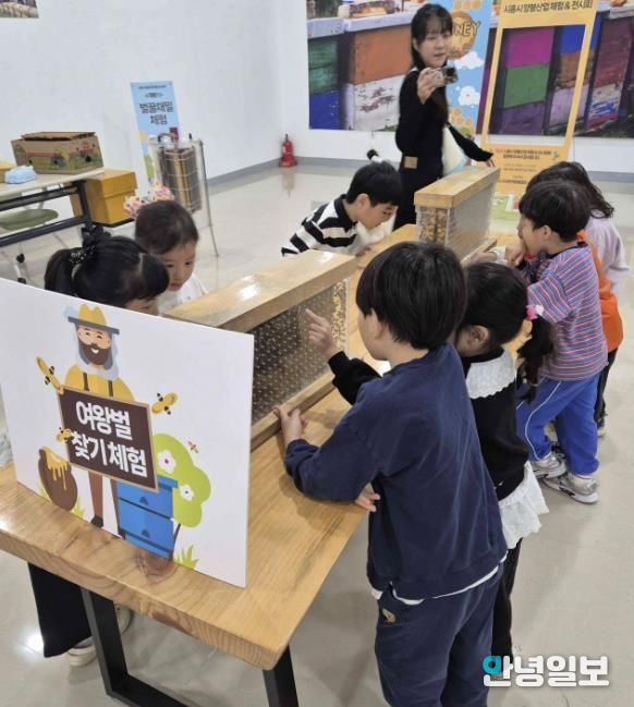 시흥시 '제2회 양봉산업 체험·전시회'서 꿀벌의 가치 시민과 나눠
