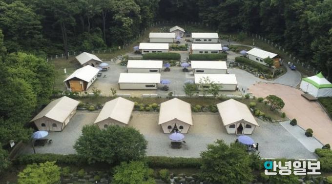 초막골생태공원 느티나무야영장 사진