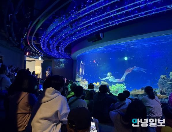 수원특례시 드림스타트 아동·가족이 아쿠아플라넷 관람을 하고 있다.