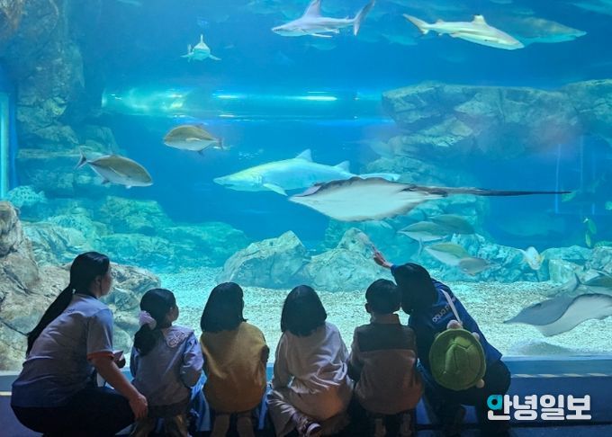 “하루에 바다를 다 체험할지니”수원 E:음 거점형 늘봄센터, 아쿠아플라넷 광교에서 해양생태 탐구 체험 운영