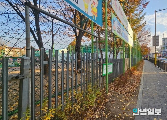 남양주시 진건읍, 진건초 통학로 수목 교체 마무리… 보행 안전·거리 미관 향상