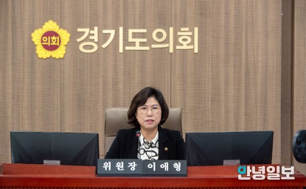 경기도의회 이애형 의원