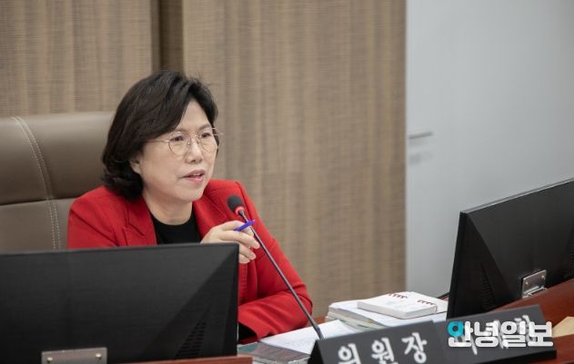 경기도의회 이애형 의원