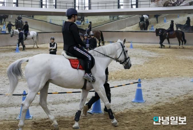 시민 무료 승마 교실 모습