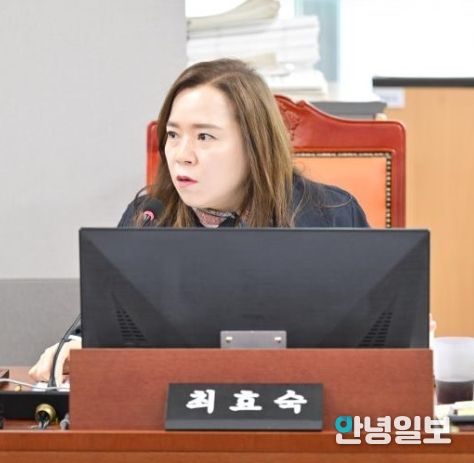 경기도의회 최효숙 의원