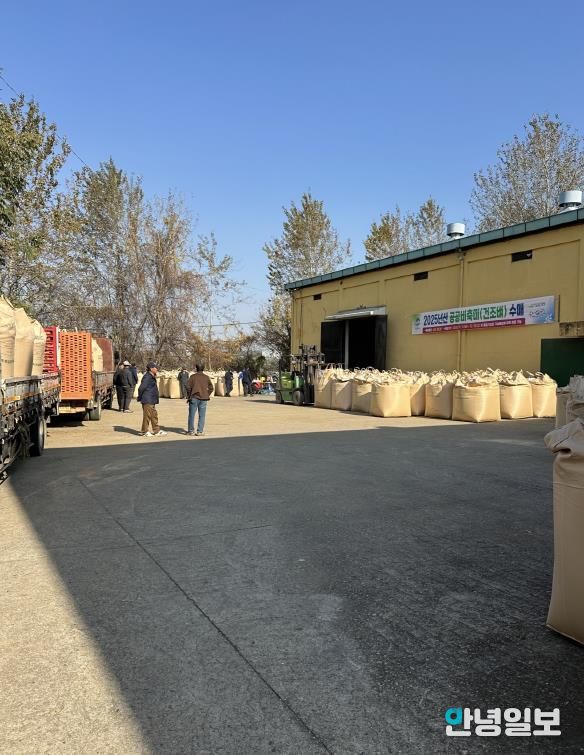 평택시, 2025년산 공공비축미곡 건조벼 매입 실시