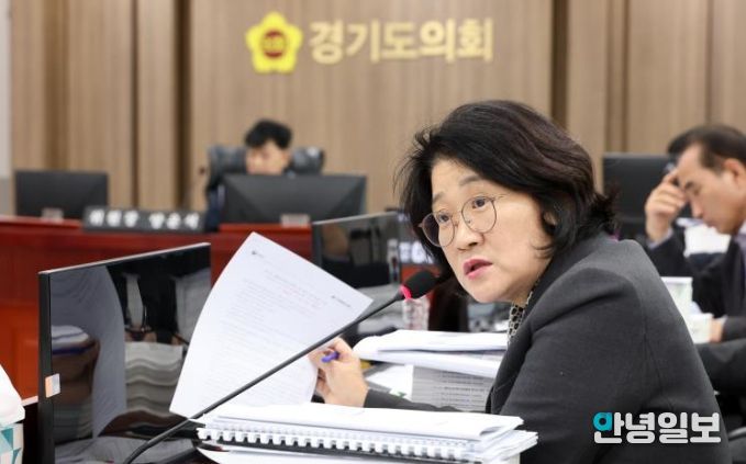 경기도의회 신미숙 의원