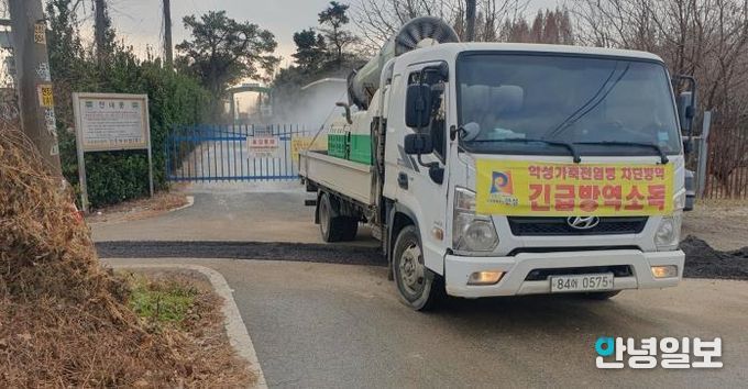 안성시 산란계농장 고병원성AI 의심축 발생