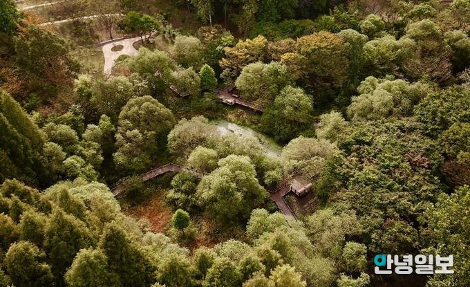 무장애 나눔길(물향기수목원)