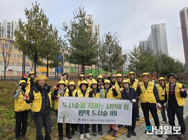 평택을 푸르게! ‘도시숲 119’ 모산초 인근 녹지 숲 가꾸기 완료