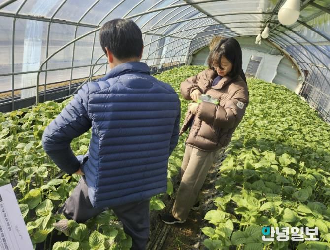 고양시 관계자가 진단키트를 활용해 과학 영농 기술지원을 하고 있다.