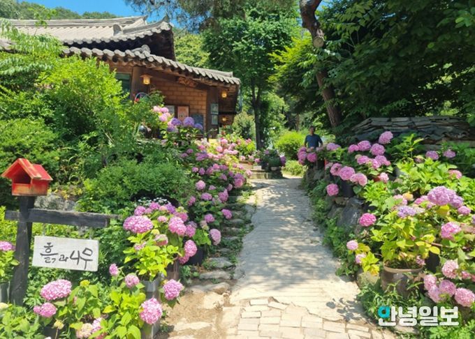 남양주시, 치유농업 경쟁력 확보…우수시설 인증 2곳 성과