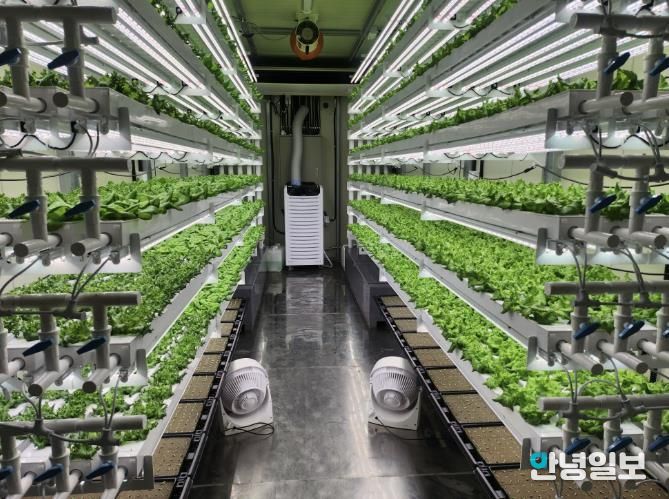 테이너형 수직농장 내부