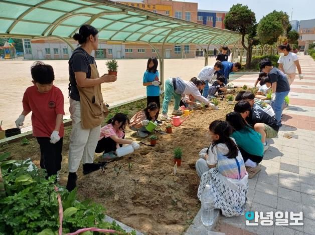 지난해 수원초등학교에서 ‘찾아가는 도시농업 프로그램’을 운영하는 모습.
