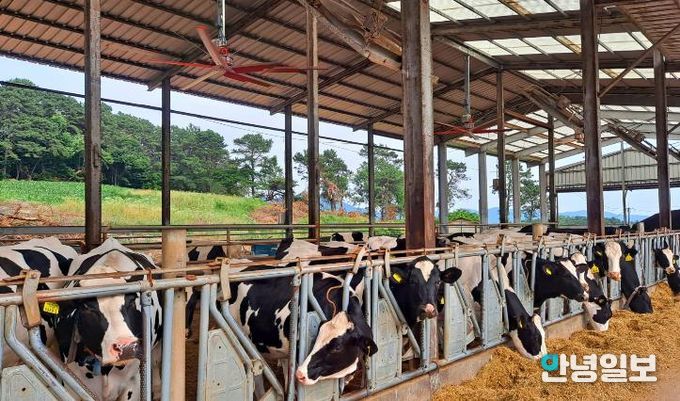 여주시, 225억 원 투입 ‘2026년 축산·방역 지원사업’ 추진