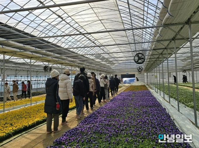 시민들이 여월 꽃양묘장에 조성된 맨발길을 이용하고 있다.