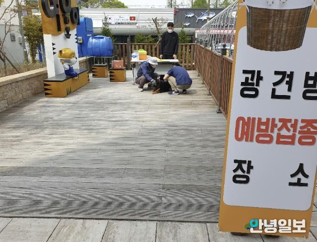 여주시, 상반기 광견병 무료 접종 실시