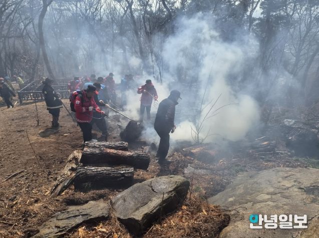 수원 팔달산 산불 진화(산림재난대응단 진화사진)