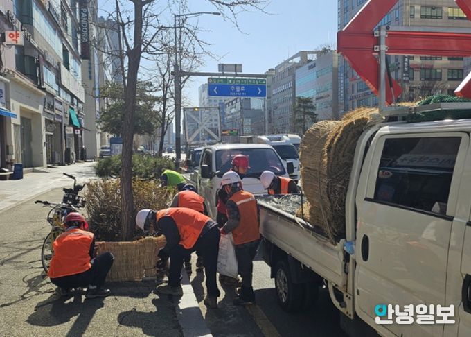 고양시 일산서구, 봄맞이 가로화단 월동시설 철거 완료