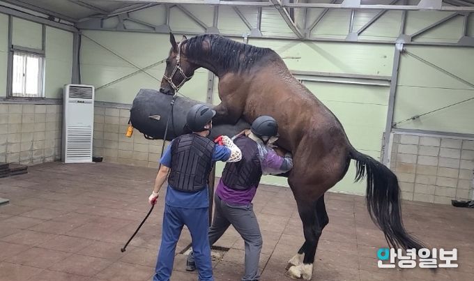 거점번식 지원사업 사진