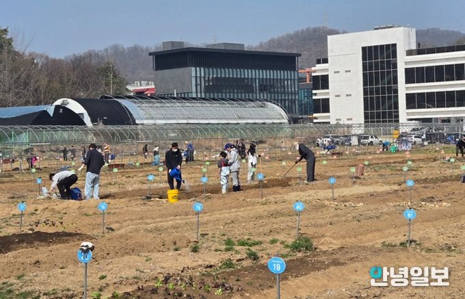 광명시 하안동 밤일마을에 자리한 시민주말농장에서 시민들이 땅을 가꾸고 있다.