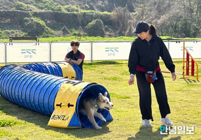 ‘반려마루 화성’ 동물 교감 활동 프로그램