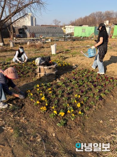 광명시 광명5동 청소년지도협의회는 지난 28일 다가오는 식목일을 기념해 위원들과 함께 봄꽃 심기 행사를 진행했다.