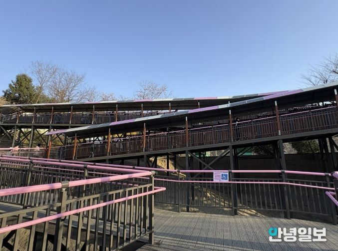 원미산 진달래동산 ‘무장애 데크로드’ 조성 모습