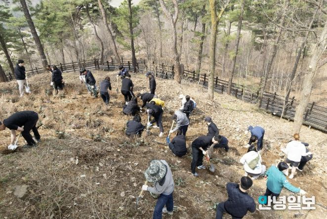 연천군, 제81회 식목일 기념 산철쭉 식재