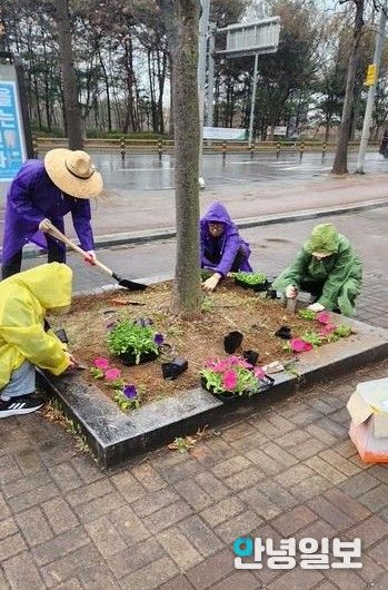 고양시 중산2동, 2026고양국제꽃박람회 대비 초화 식재