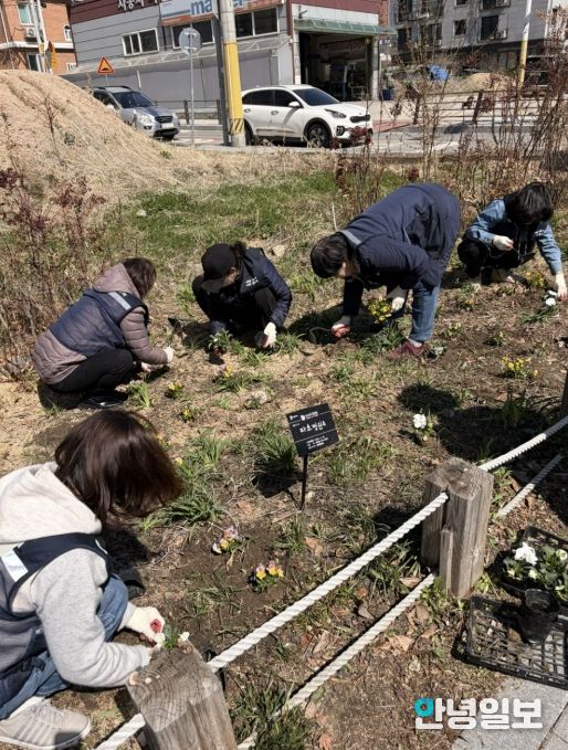 수원시 장안구 파장동, 봄맞이 손바닥정원 정비