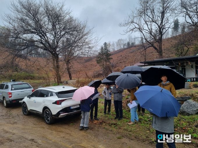 소나무재선충병 방제 품질향상을 위한 현장 컨설팅 실시