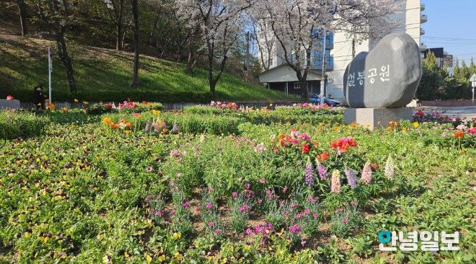 이천시, 설봉공원 봄맞이 초화류 식재 완료