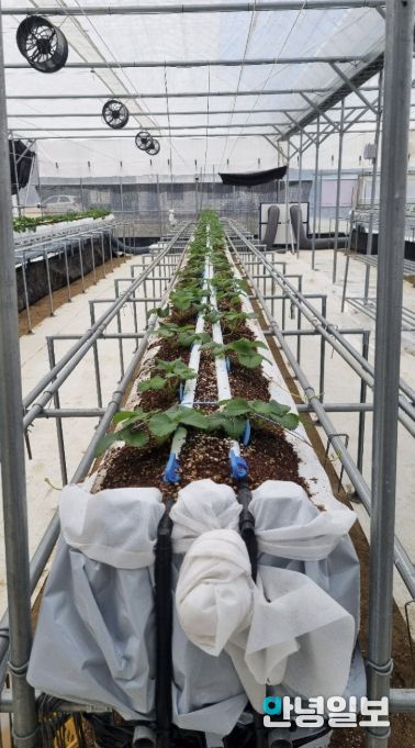 양주시농업기술센터, 농가에 에너지절감형 히트펌프 보급